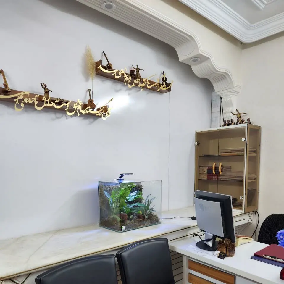 Drayt music and computer academy in tiran