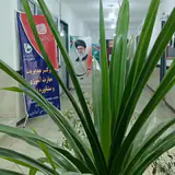 مرکز کامپیوتر نوید