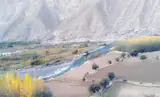 املاک احمدی