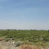 ساختمان مرکزی