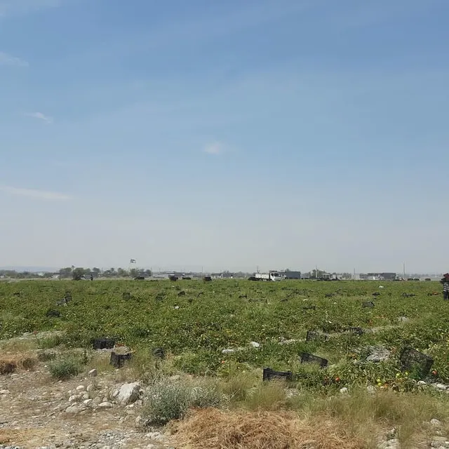 ساختمان مرکزی