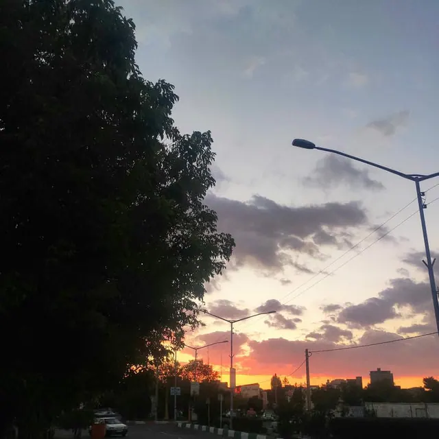 sarab