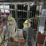 مصالح ساختمانی حسینی