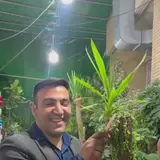 بلوار همت شمالی/ ایمان شمالی / وکلا شمالی