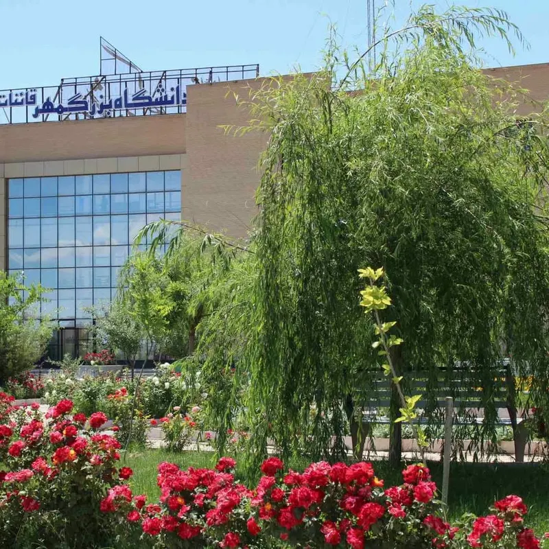 Bozorgmehr University