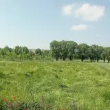 Nir
