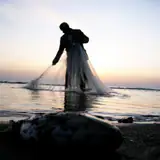 گناوه گناوه
