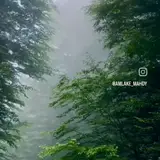 مشاور املاک مهدی