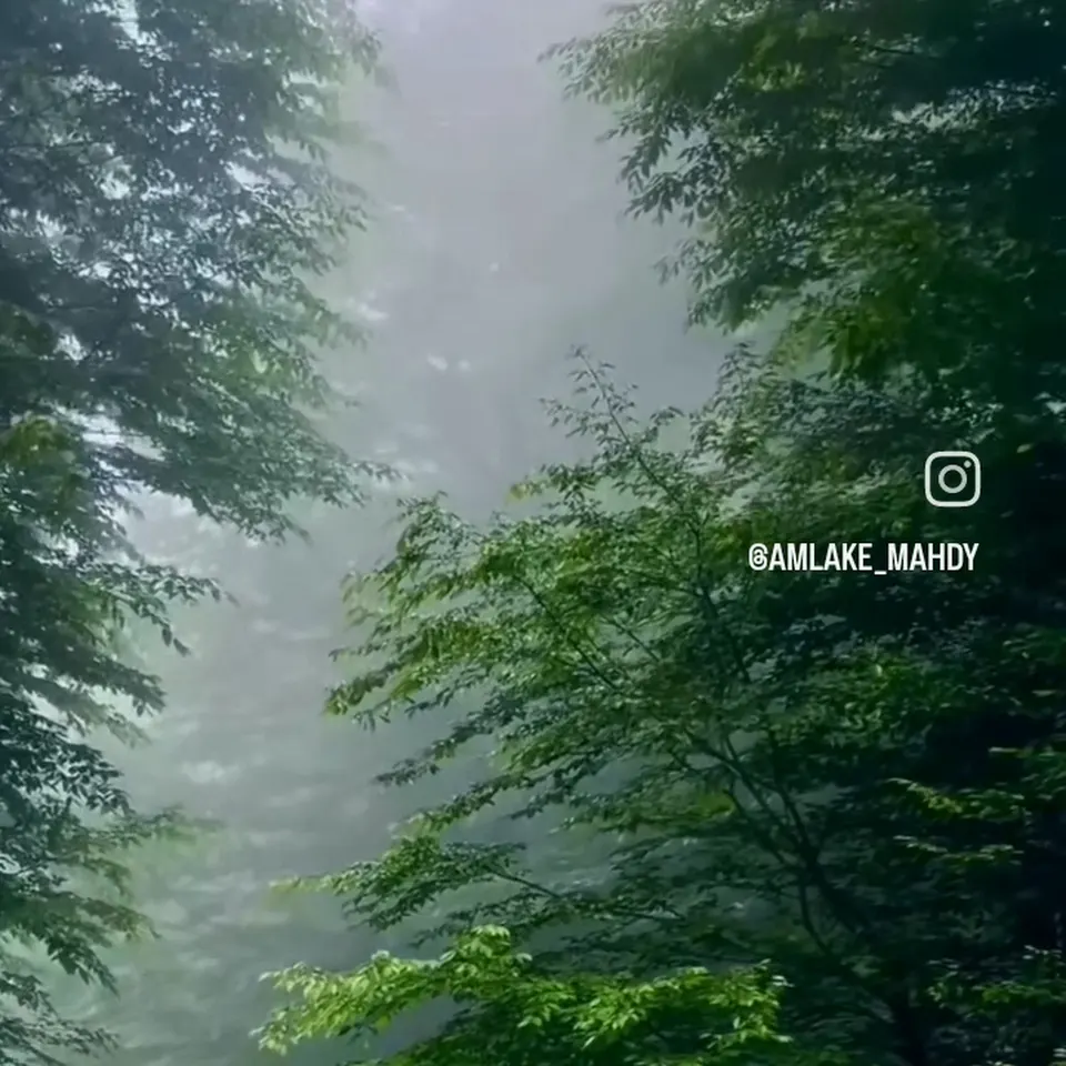مشاور املاک مهدی
