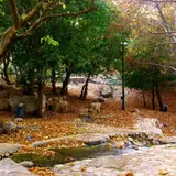 املاک دنا پورفلاح