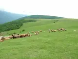 شهر آبی بیگلو خیابان آذر بایجان