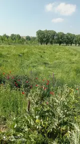 بن بست پدر نیر،اردبیل