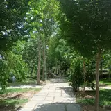 پارک ناژوان