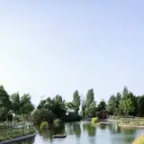 شهرک 22 بهمن