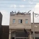 گروه معماری تک مهراز