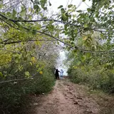گروه مصالح ساختمانی برادران منوری
