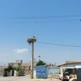 شرکت مهندسی برق نورگستر اشنویه