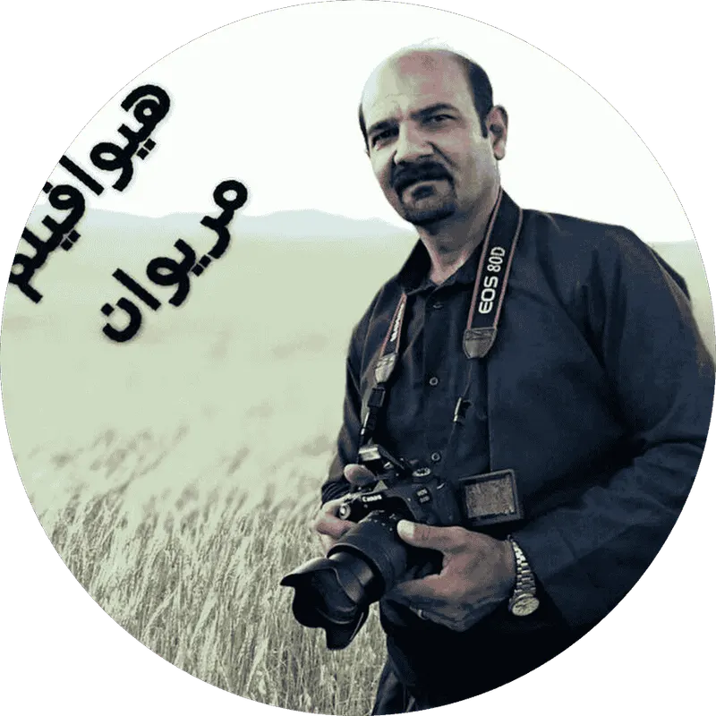 فنی حرفه ای مریوان