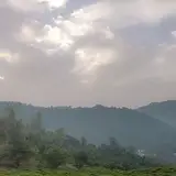 قم پردیسان