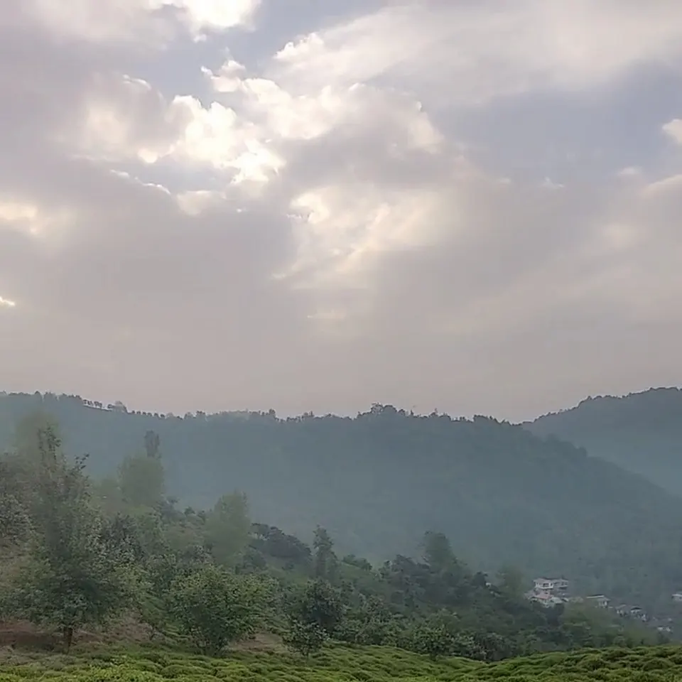 قم پردیسان