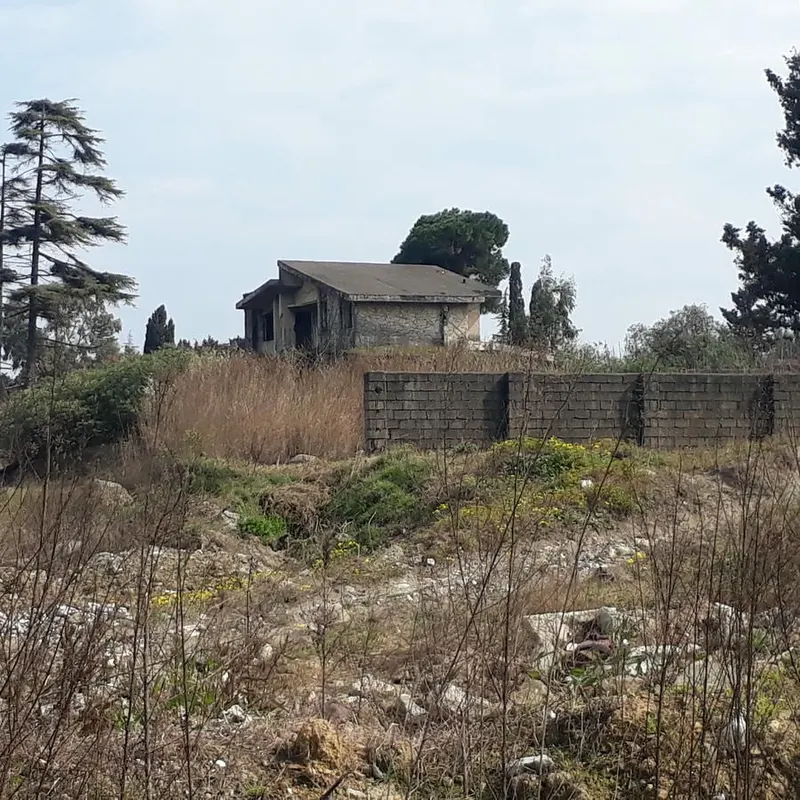 ساختمان اربابی