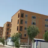 Arg building