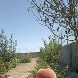 املاک پونک