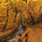 مصالح سنگ مدرن اصفهانی