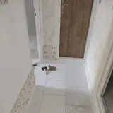فاطمی