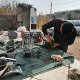 گرگان
