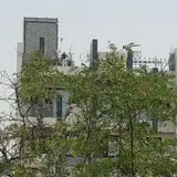گروه لحظه