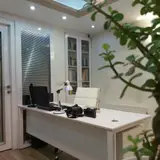 املاک احمدی