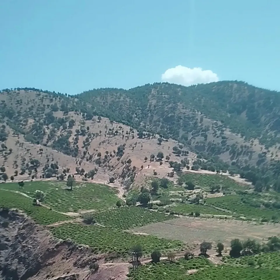 کلینیک ساختمانی مدرن