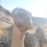 Omidiyeh