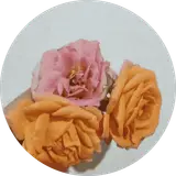 گچبری امینی