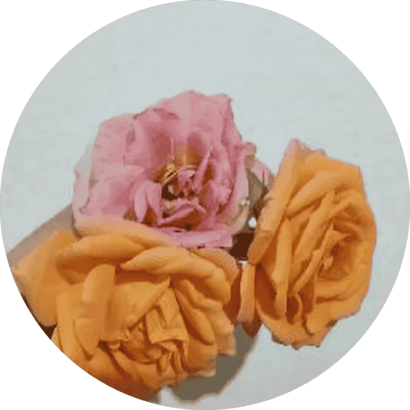 گچبری امینی