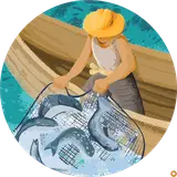 هولدینگ رادسایت