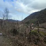 شرکت بازرگانی کیان تجارت چوبر چوب