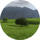 مسکن نگین پیروزی