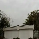 تربت