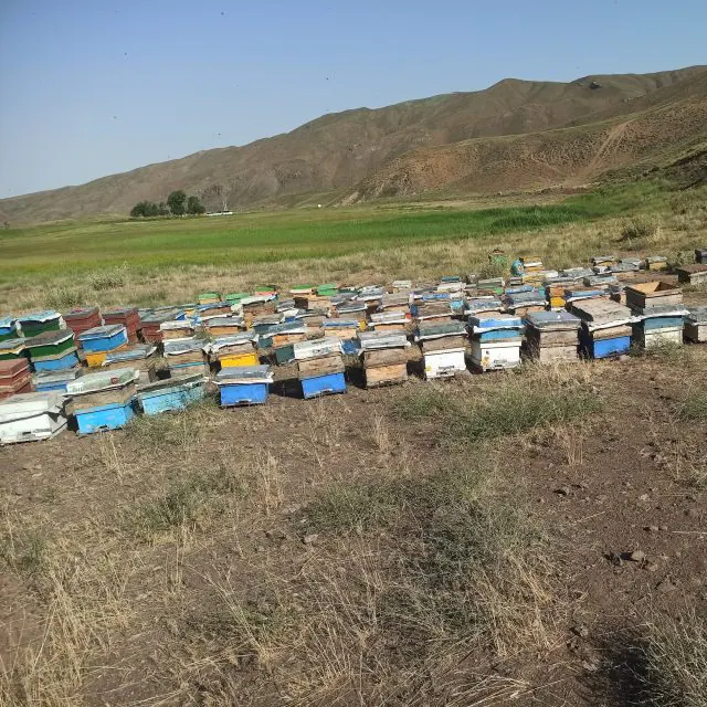 دفتر املاک ساختمانی آبادگران.نشتارود.کترا