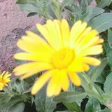استان البرز