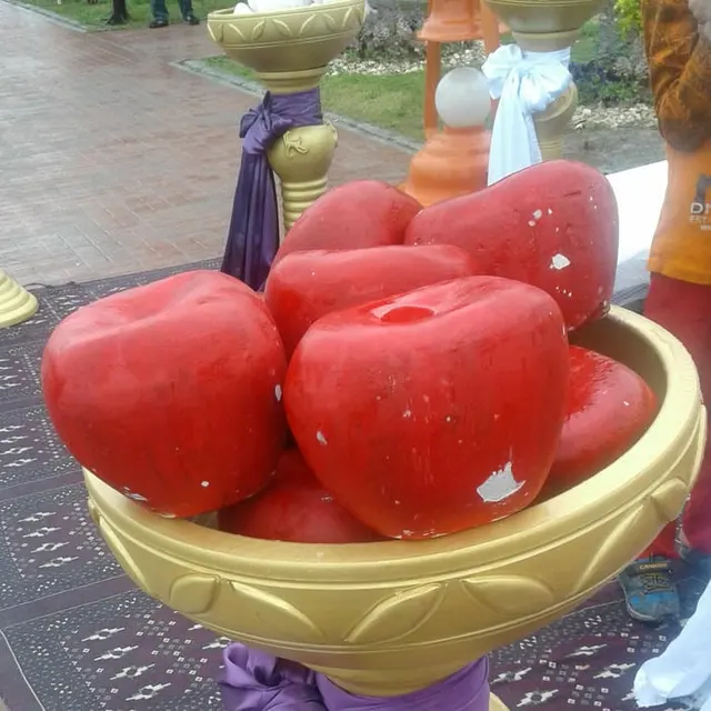 ایزوگام و داربست گلستان کلته