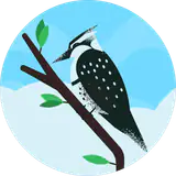 خرمشهر