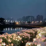 شرکت عنبر سازه ( گروه ساختمانی آویستا )