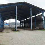 بورس آهن آلات خزر