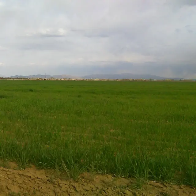 شرکت ساختمانی Amirreza