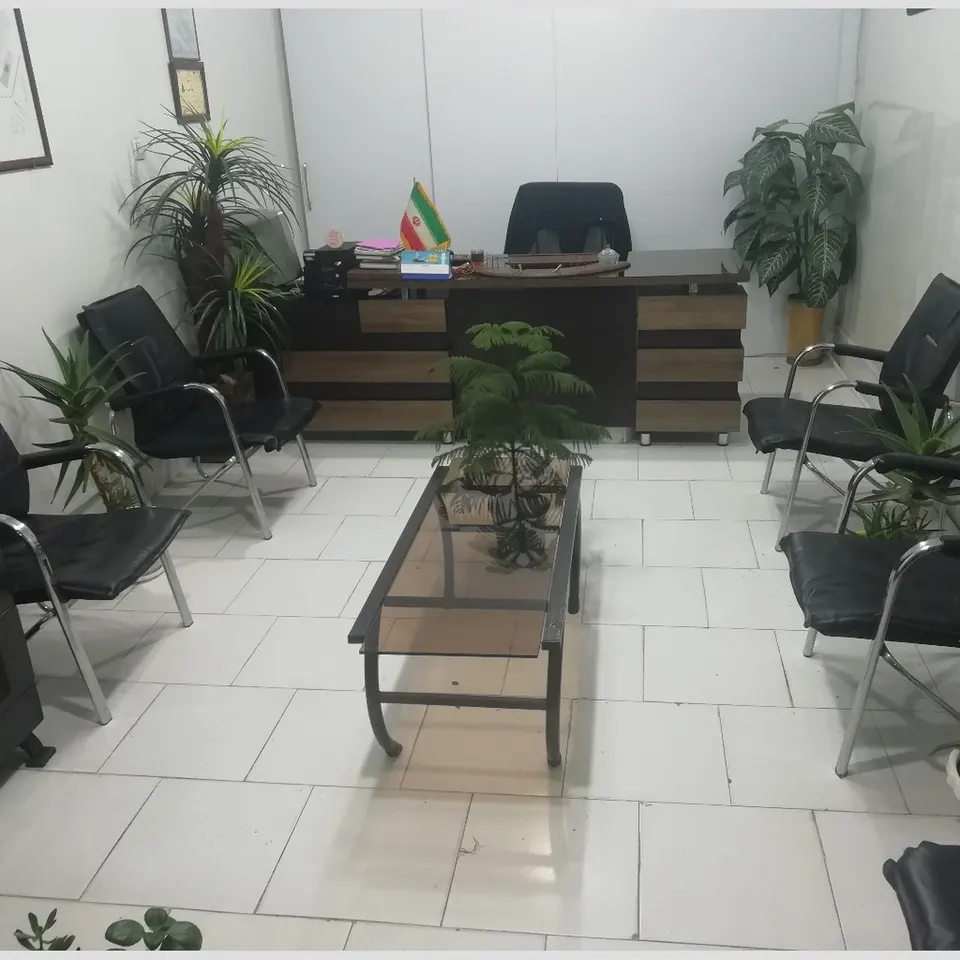 مشاور املاک دولتی