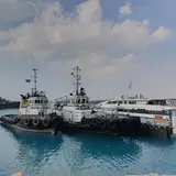 نخل ناخدا