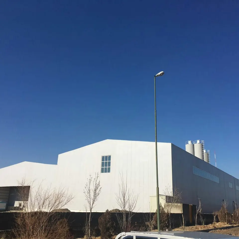 Kowsar stone Plant Betland